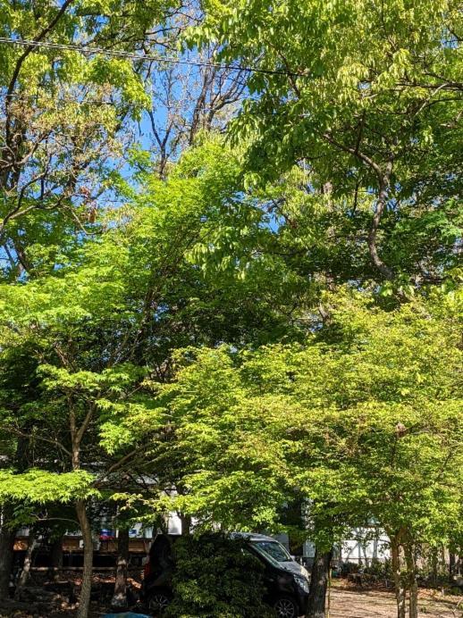 Itsubinosato Guest House Yufu Exterior photo