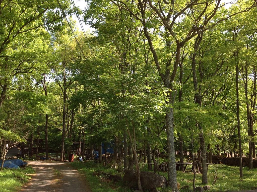 Itsubinosato Guest House Yufu Exterior photo