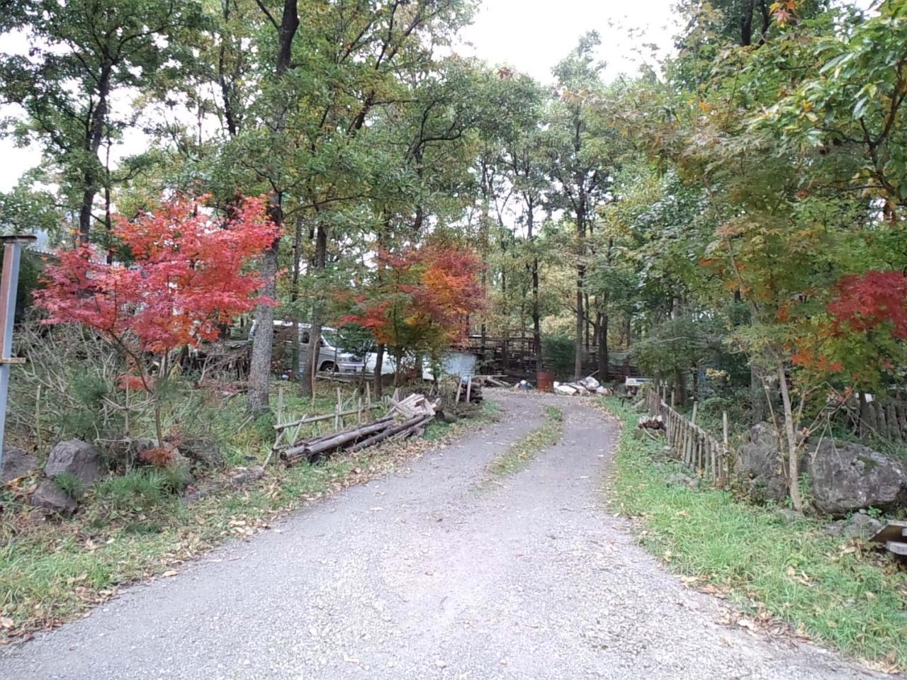 Itsubinosato Guest House Yufu Exterior photo